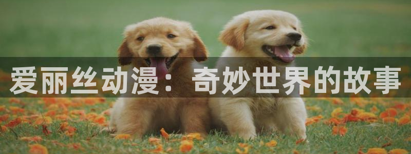 里番有哪些好看的动漫